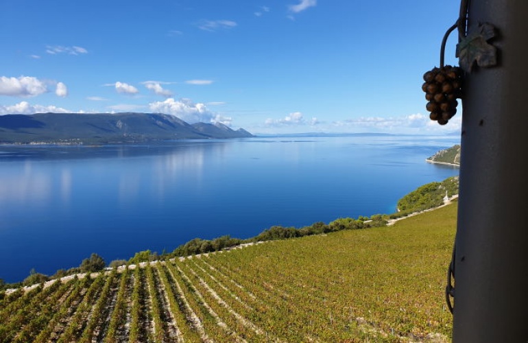 Pogled na Neretvanski zaljev od kojeg zastaje dah