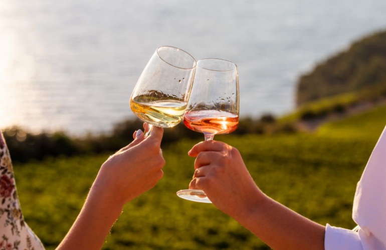 Forbes.com o hrvatskim vinima kao i vinariji Terra madre