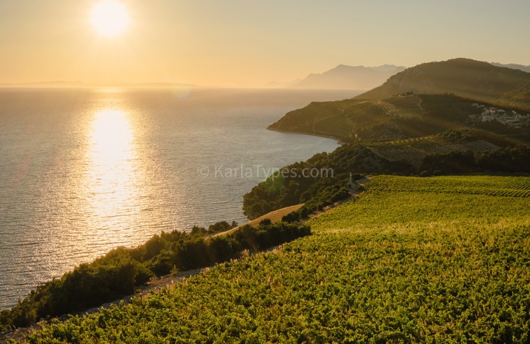 Terra Madre vinarija - skriveni dragulj na put od Splita prema Dubrovniku