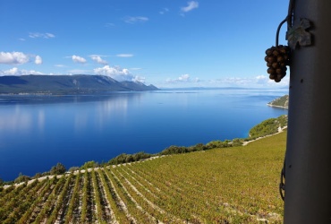 Pogled na Neretvanski zaljev od kojeg zastaje dah  