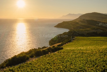 Terra Madre vinarija - skriveni dragulj na put od Splita prema Dubrovniku