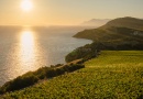 Terra Madre vinarija - skriveni dragulj na put od Splita prema Dubrovniku