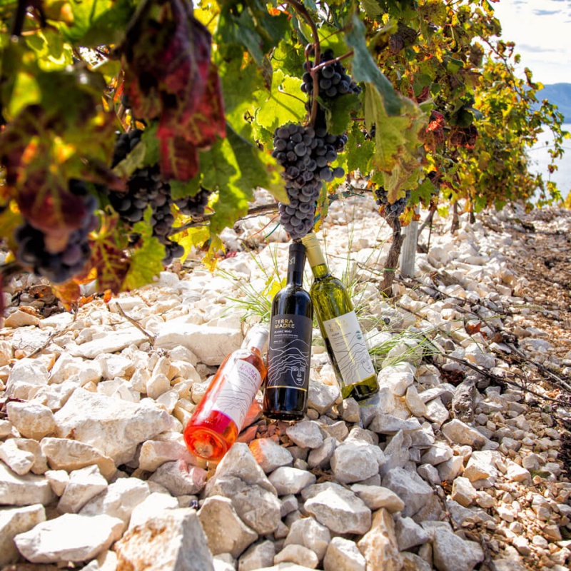 Vina Terra Madre