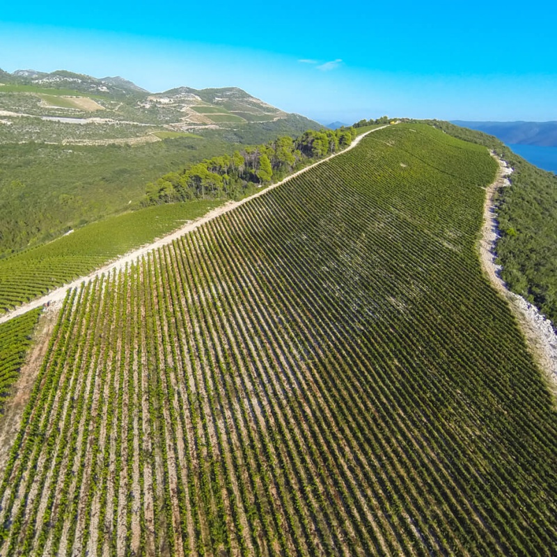 Vinogradi Komarna